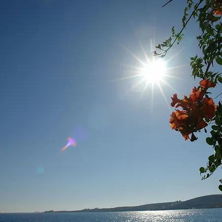 Apartamento Petalides