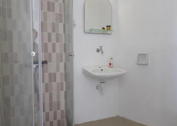 Petalides * פארוס